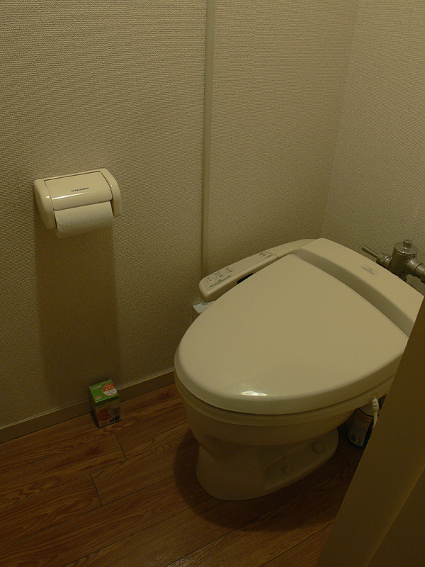 <font color="navy" size="2"><b>【ルミナス：40W】<br></b></font><font color="navy" size="2">明るさはまずまず。しかし、60Wタイプよりもさらに光色のクセが気になる</font>