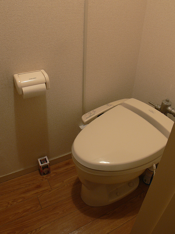 <font color="navy" size="2"><b>【日立LED：60W】</b><br>白熱電球よりも暗くなるが、肉眼では十分な明るさが感じられた</font>