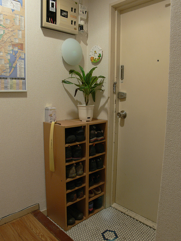 <b>【ルミダス：60W】 </b><br>自然な色合いでスッキリとした光色は玄関に相応しく、実用的な明るさが十分感じられた。白熱電球に比べれば暗くなる点は仕方がない