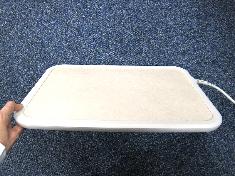 本体は薄く固い板状