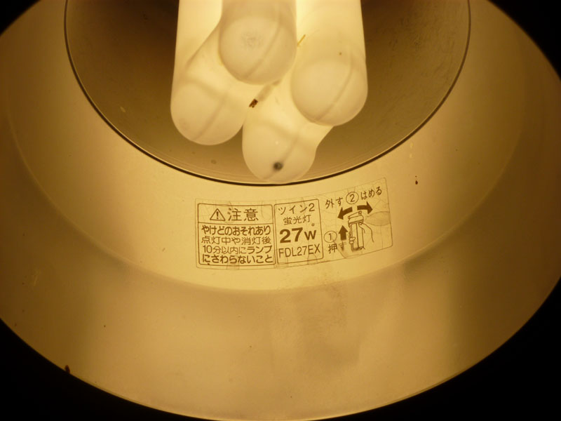 蛍光管は天井に近い位置まで届いている
