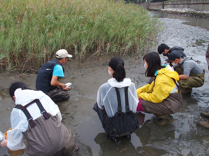 「人と自然の関わり」に関するゼミ
