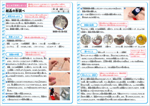 学研の「科学で自由研究」を無料公開、自由研究キット付き書籍の活用
