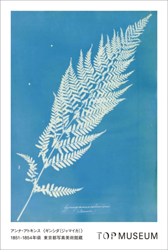 ワークシートを完成させると、オリジナルステッカーをもらえる