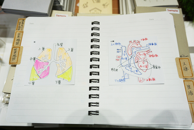 「Sticky Notes Study Tips」人体