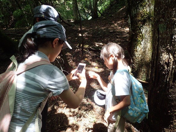 体験プログラムのイメージ