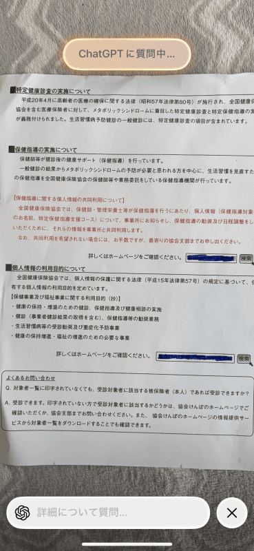 カメラコントロールボタンを長押しでビジュアルインテリジェンスが開いたところ。画面下部にテキストを打ち込むことで質問や指示ができる