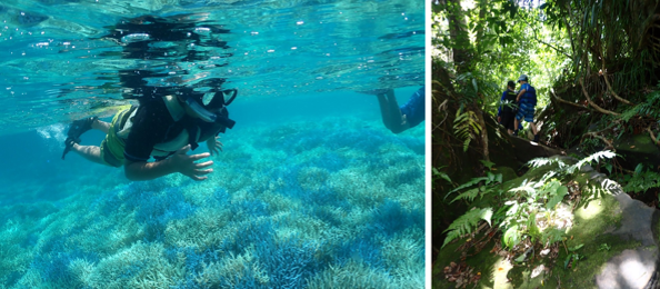 株式会社プラスワン教育が、2025年8月19日（火）出発の「屋久島冒険ツアー」を開催