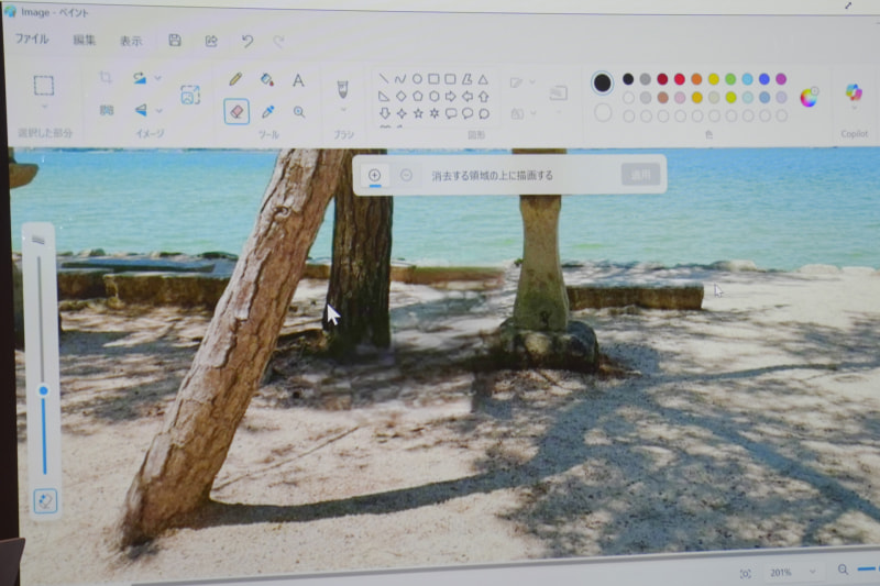 ［適用］のクリック後、シカだけが削除された
