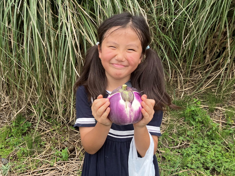 イタリアナスの収穫体験を実施