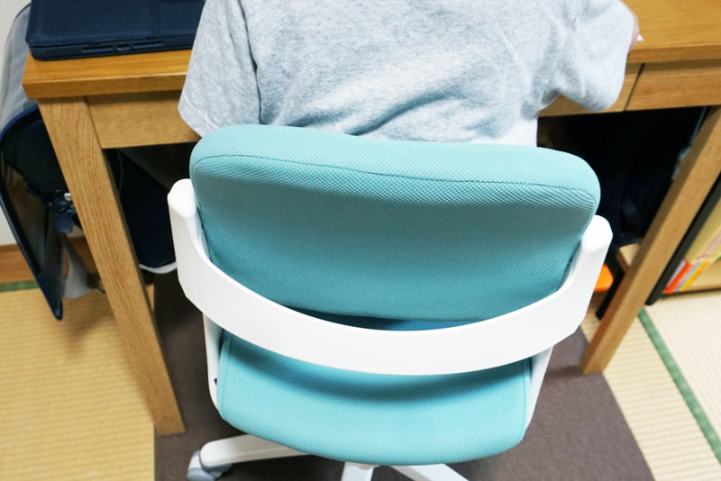 ダブルアームで、広い背もたれになっている