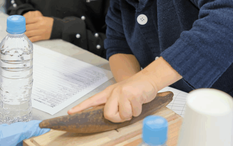 🍙「鰹節けずり＆おにぎり作り」