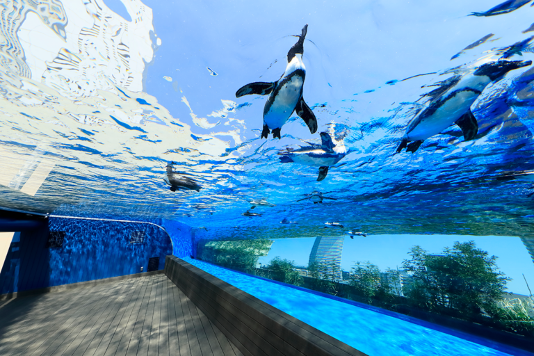 🐧「サンシャイン水族館見学」