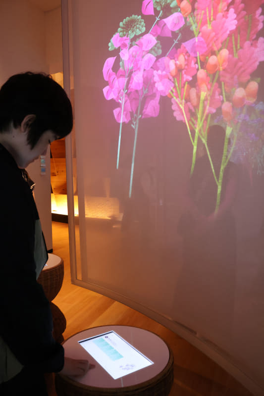 葉、花、心のカードを選んで、自分だけの心象の緑を作れるインスタレーション作品