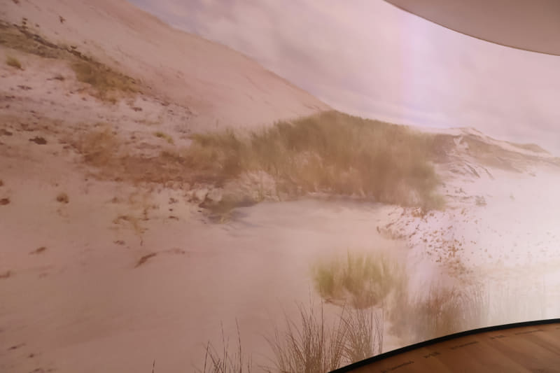 生成AIで作られたポーランドの原風景。来館者の動きに応じて変化する