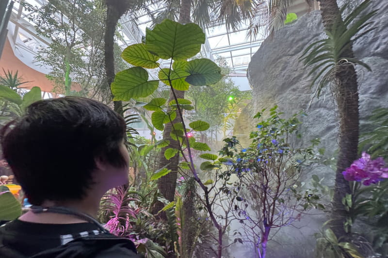 熱帯雨林の植物で囲まれた、滝が流れる涼しい空間