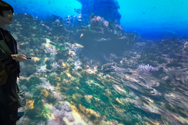 壁から床まで映像に取り囲まれるすごい没入感