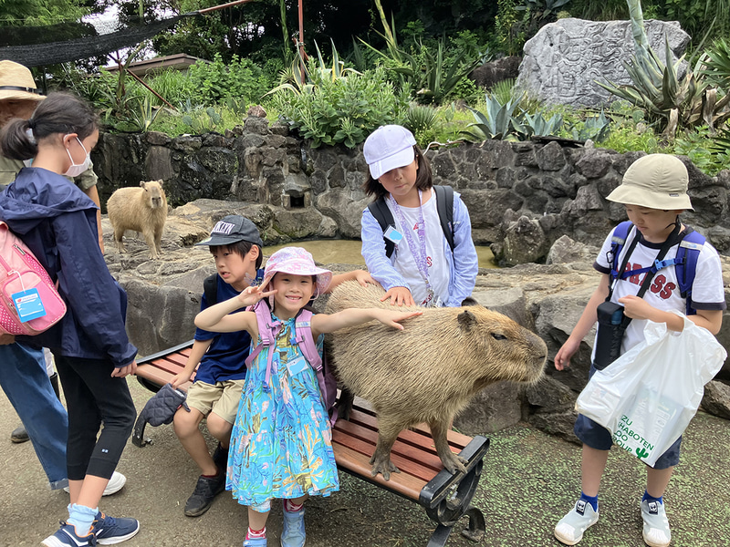 伊豆シャボテン公園で動物とのふれあい体験を実施