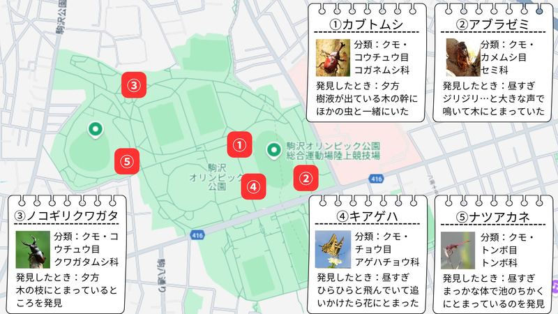 昆虫図鑑マップ