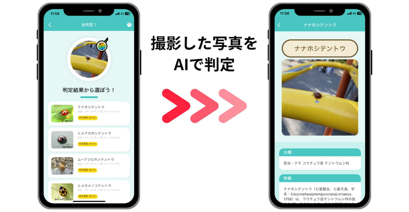 撮影した写真をAIが判定して虫の種類を表示