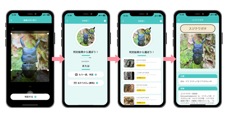 アプリを使った取り組み方を記事で紹介