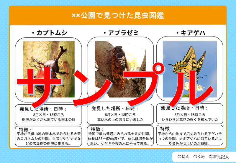 昆虫の分類や特徴を記入したワークシートの例