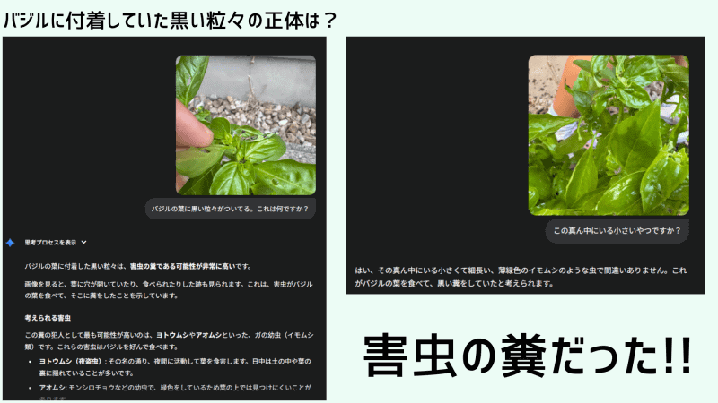 Geminiが教えてくれた衝撃的な事実