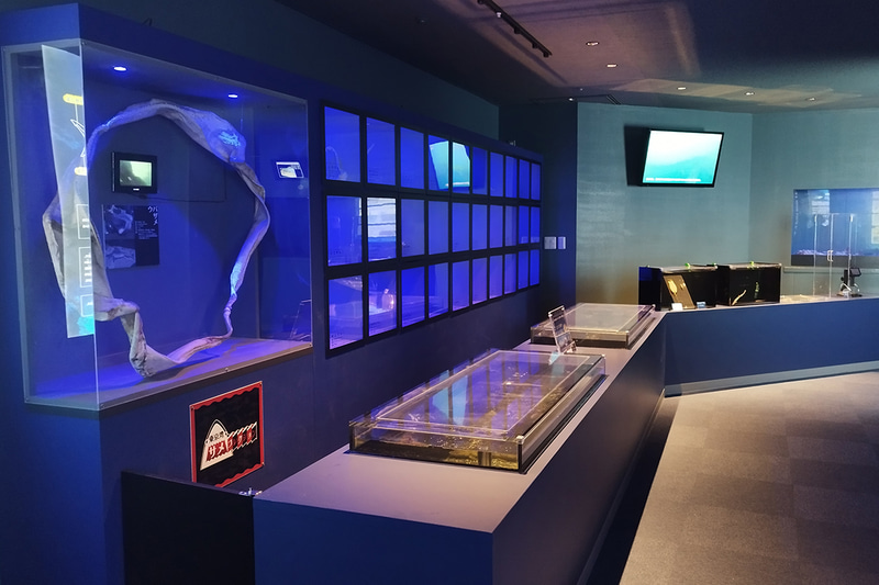 サメ肌を体感しながら、サメの生態などをLABO8で学べる