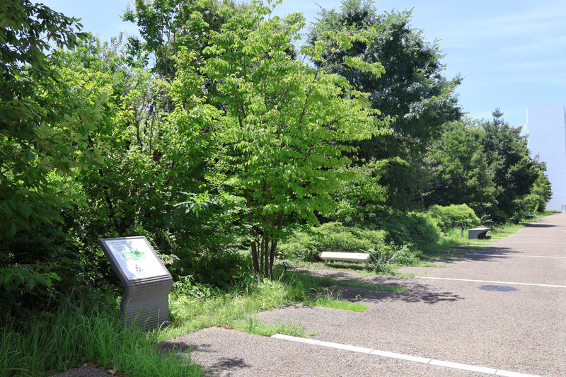 島津製作所 本社・三条工場の敷地の一角を占める「島津の森」。約100種、約1000本の草木が植栽されている