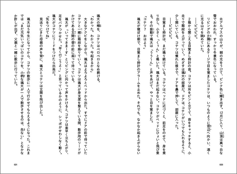 颯太との散歩が大好きな柴犬のコテツ