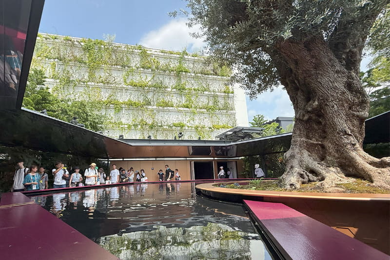 360度、どこから撮影しても映える「奇跡の庭」