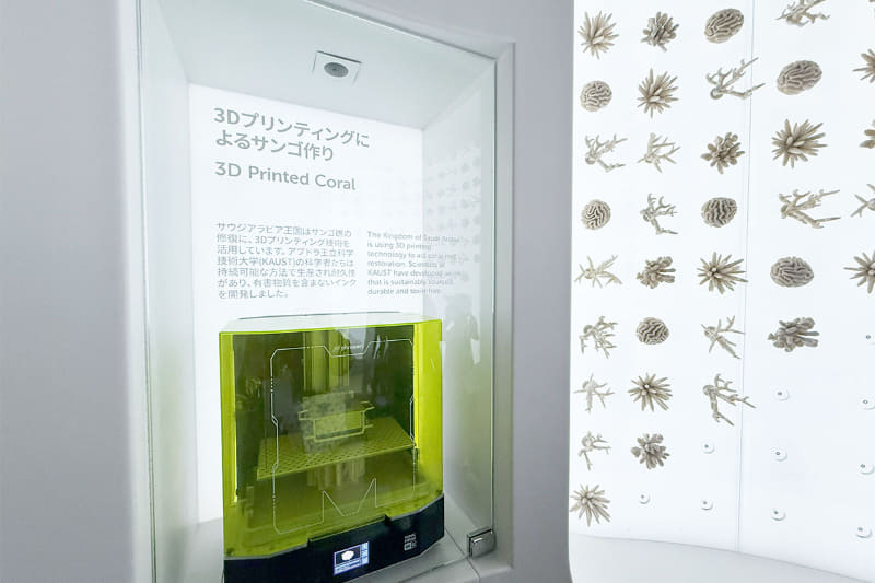 「持続可能な海」の展示。人工のサンゴ骨格は、海中に設置すると自然の生息環境を模倣する構造となり、サンゴの定着と成長を支える“土台”となる。こうした取り組みによって、海洋生態系の回復が期待されているという