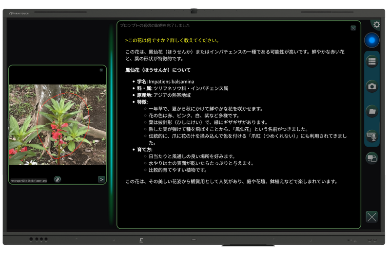 画像の花について問いかけ、AIが回答を返す「MIRAI FLOW」アプリの操作イメージ
