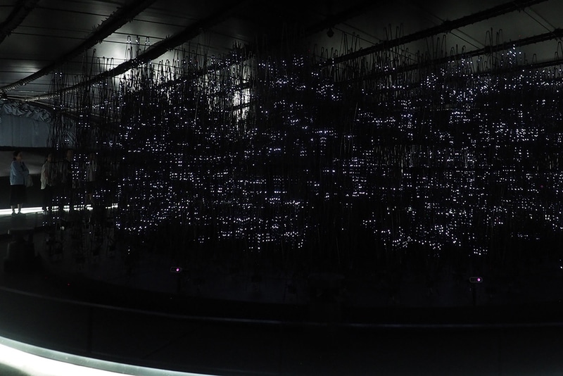 「いのち動的平衡館」の「クラスラ」。32万個のLEDにより立体的な映像を作りだす