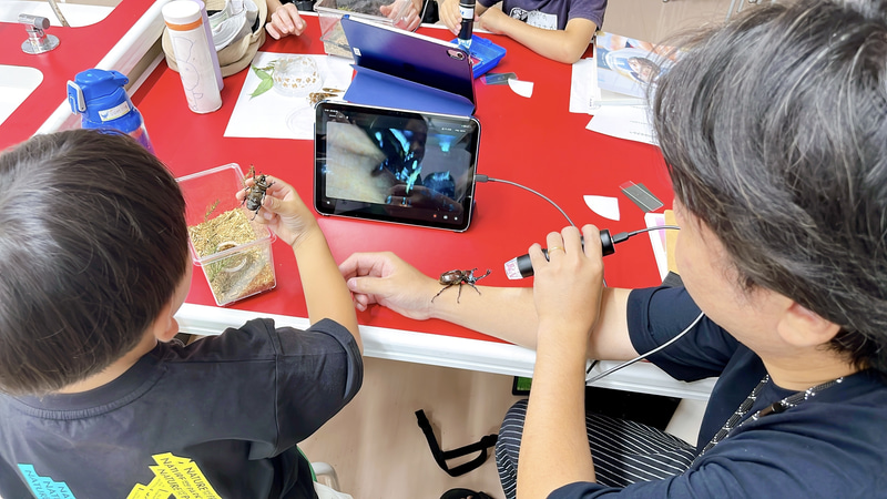 前回の講座で、カブトムシを観察する子供たち（出典：学校法人武蔵野大学）