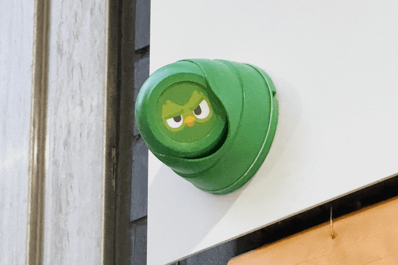 よく見ると、頭上にデュオの監視カメラが