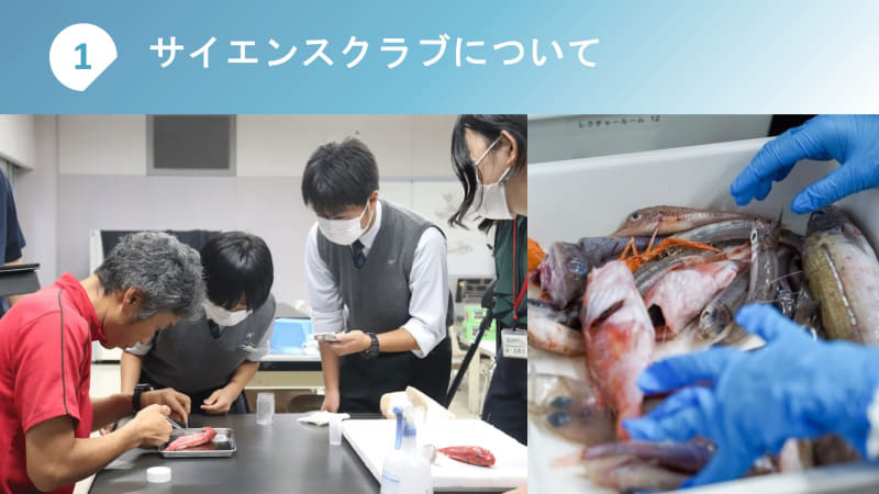 「科学」の視点で多角的に活動する鳳凰高校サイエンスクラブ