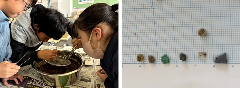 琵琶湖の湖岸の砂から採取したもの