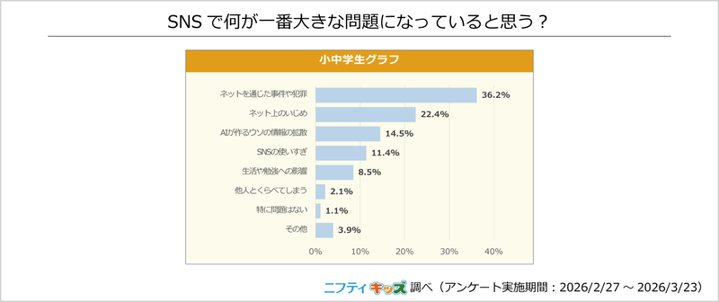 SNSの最大の問題は「ネットを通じた事件や犯罪」の回答が最多