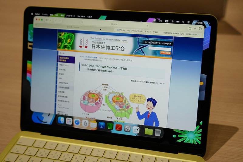 生徒側の画面。教師から見るべきサイトやワークシートが自動的に表示される