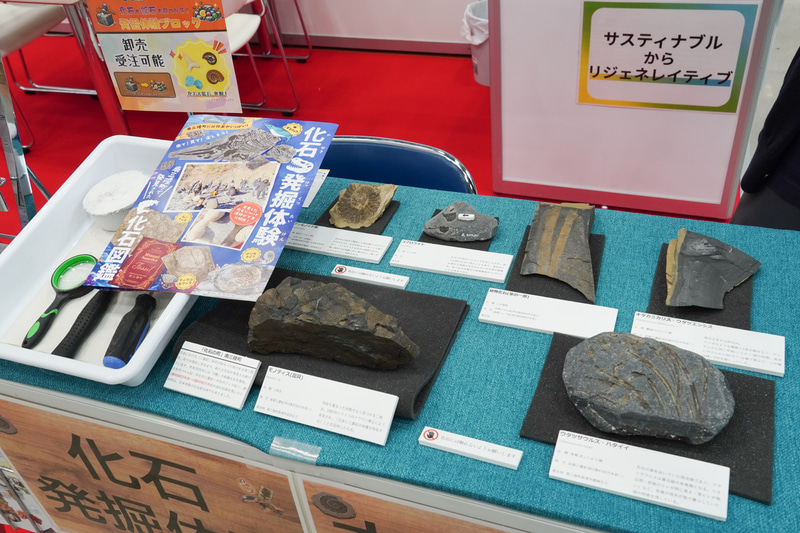 化石発掘体験もできる