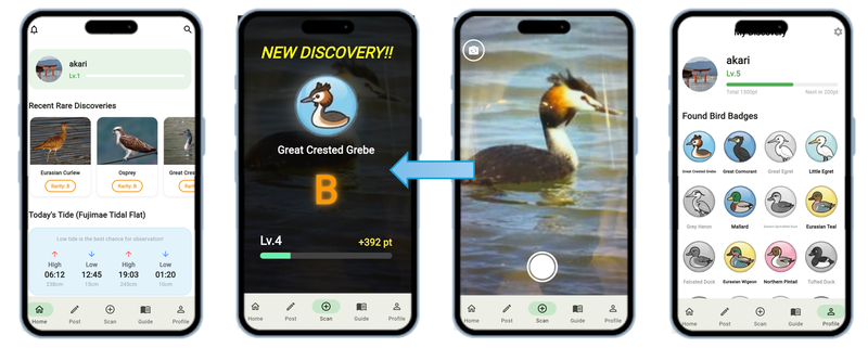 若者向けゲーム型コレクションアプリ「Bird Quest」