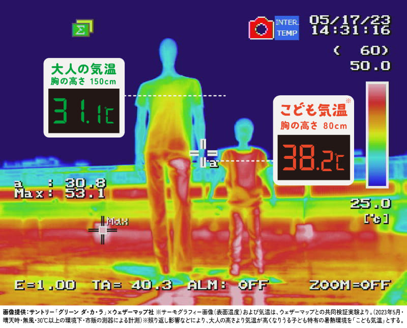 大人（高さ170cm）と子供（高さ120cm）のマネキンを横並びにし、地面の照り返しによる気温差と表面温度差を黒球式熱中症指数計と赤外線サーモグラフィーで計測