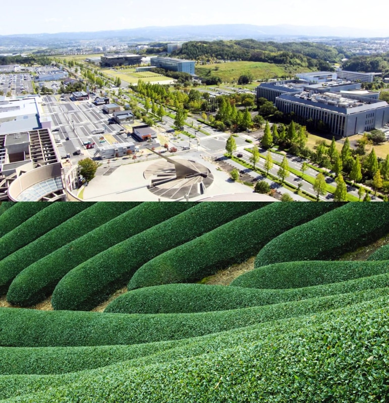 けいはんな学研都市と宇治の茶畑