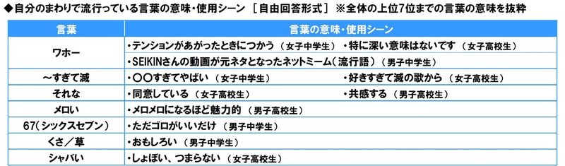 「自分の周りではやっている言葉」の意味や利用シーン