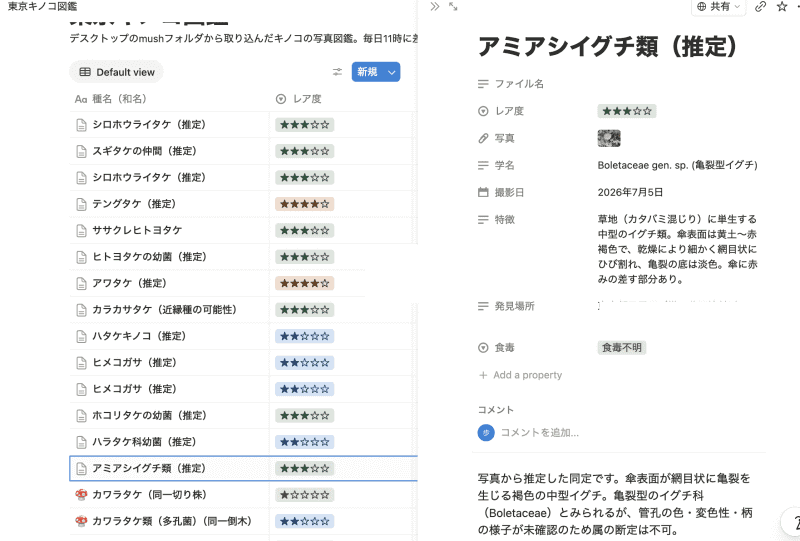 Notionで作成されたデータベース
