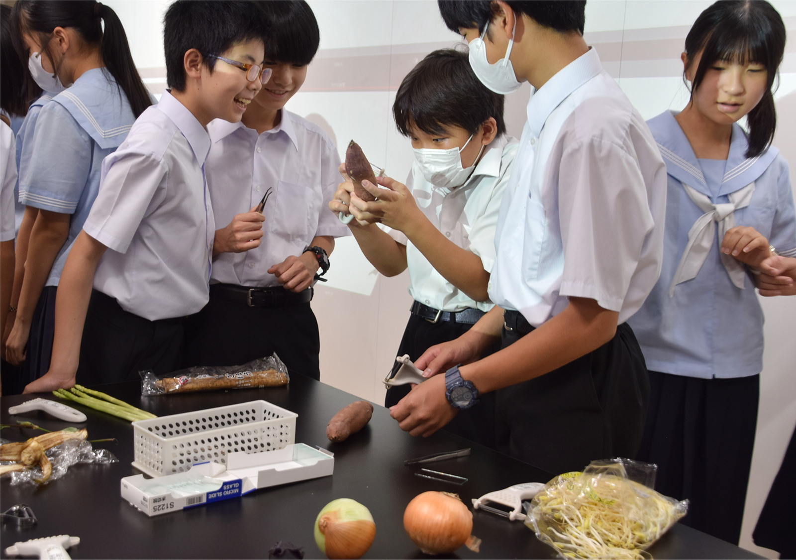 ピーラーやピンセットなどを使って、素材を剥ぎ取る生徒たち