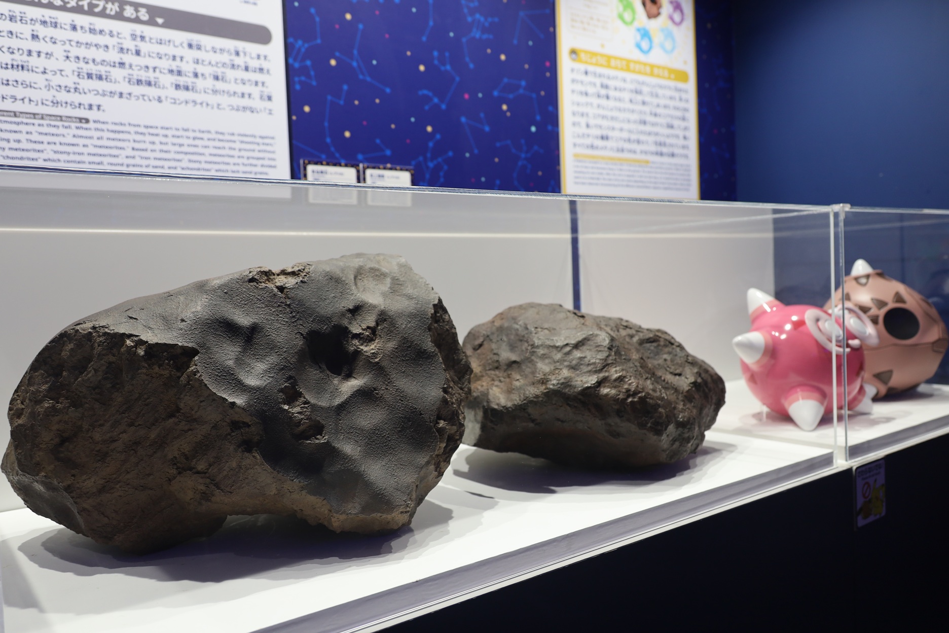 豊橋市自然史博物館所蔵の隕石を展示