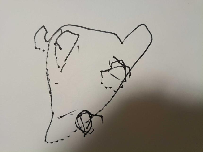 子供が紙に描いた原画（画像：筆者提供）