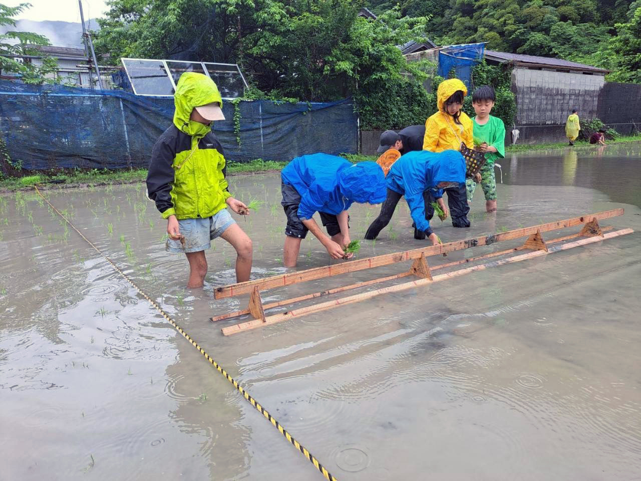 とさ自由学校の児童たち